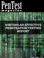 pentest report issue.pdf